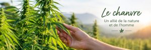 le chanvre un allié de la nature et de l'homme